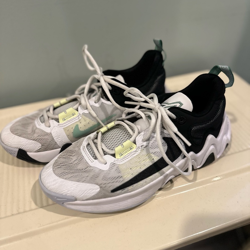 Nike Giannis Basketball Sneakers